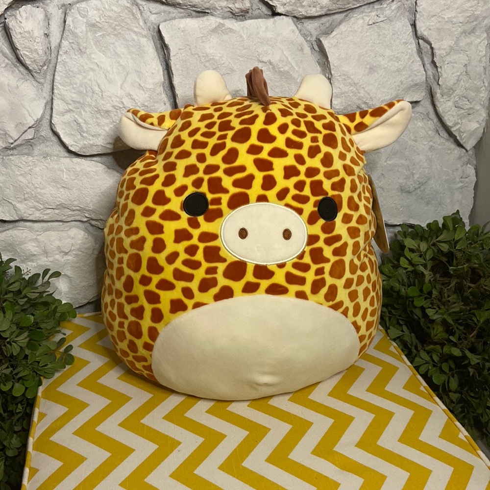 Very rare new with tags Gary the giraffe squishmallow! If you want make offer!
